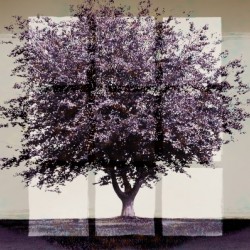 Window2 on a Purple Tree 3x2